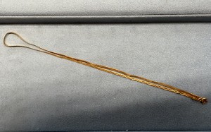 写真 2024-11-12 15 51 51