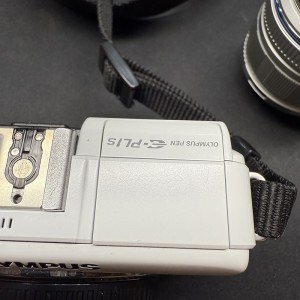 写真 2024-12-05 19 15 23