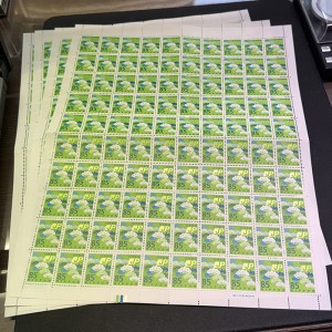 写真 2025-06-03 15 20 13