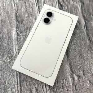 写真 2026-01-11 11 37 04